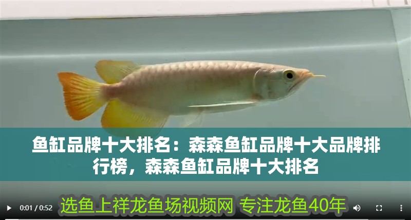 魚缸品牌十大排名：森森魚缸品牌十大品牌排行榜，森森魚缸品牌十大排名