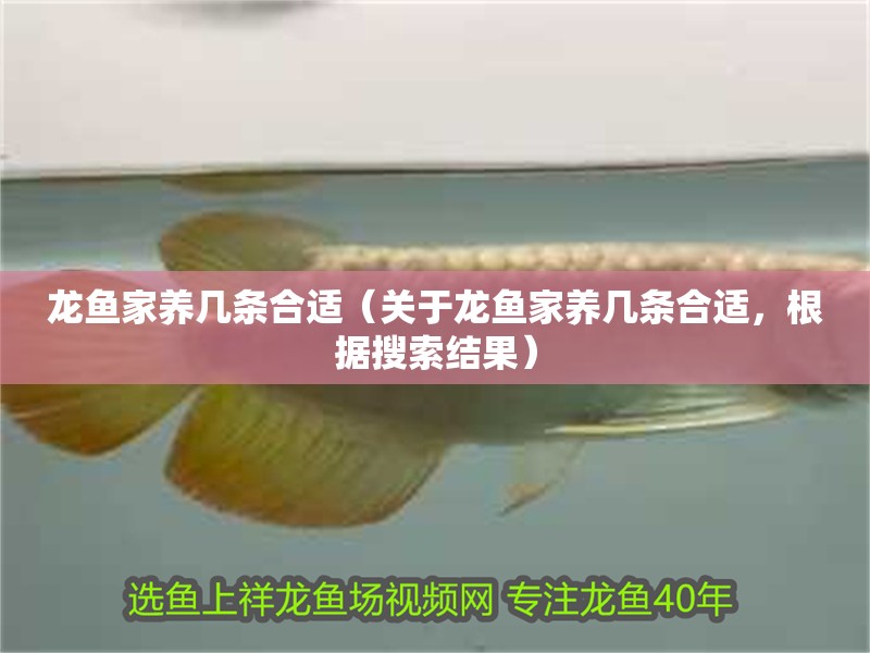 龍魚家養幾條合適（關于龍魚家養幾條合適，根據搜索結果）