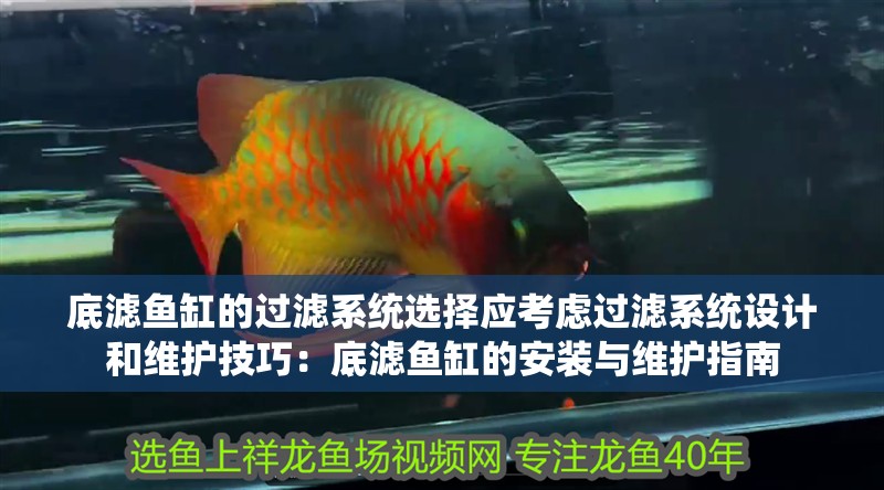 底濾魚缸的過濾系統(tǒng)選擇應(yīng)考慮過濾系統(tǒng)設(shè)計(jì)和維護(hù)技巧：底濾魚缸的安裝與維護(hù)指南