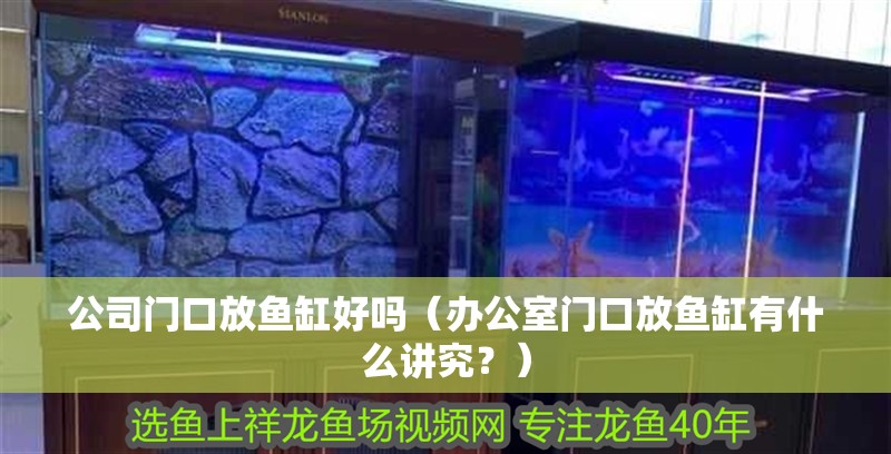 公司門口放魚缸好嗎（辦公室門口放魚缸有什么講究？）