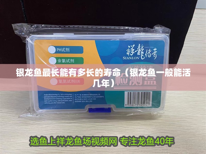 銀龍魚最長能有多長的壽命（銀龍魚一般能活幾年） 銀龍魚最長能有多長的壽命（銀龍魚一般能活幾年） 銀龍魚百科