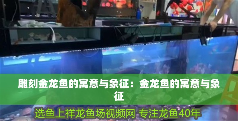雕刻金龍魚的寓意與象征：金龍魚的寓意與象征