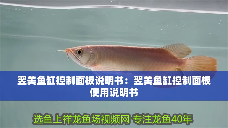 翌美魚缸控制面板說明書：翌美魚缸控制面板使用說明書
