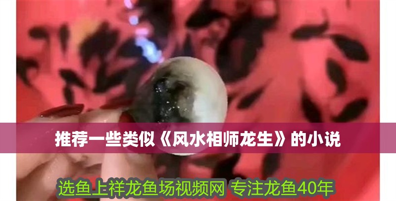 推薦一些類似《風(fēng)水相師龍生》的小說(shuō)