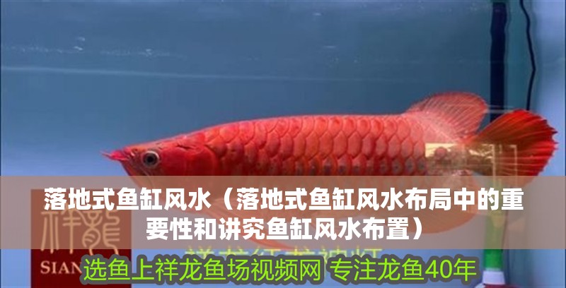 落地式魚缸風水（落地式魚缸風水布局中的重要性和講究魚缸風水布置）