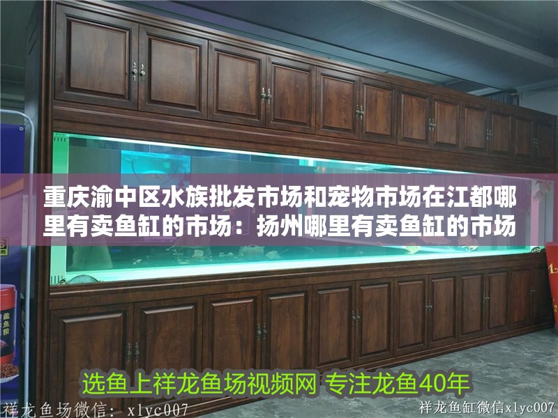 魚缸過濾器選購指南:自制魚缸過濾器魚缸上置過濾器對于養魚愛好者的必備知識 重慶渝中區水族批發市場和寵物市場在江都哪里有賣魚缸的市場:揚州哪里有賣魚缸的市場 魚缸百科 重慶渝中區水族批發市場和寵物市場在江都哪里有賣魚缸的市場:揚州哪里有賣魚缸的市場 重慶渝中區水族批發市場和寵物市場在江都哪里有賣魚缸的市場:揚州哪里有賣魚缸的市場 魚缸百科