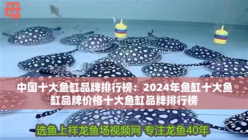 中國十大魚缸品牌排行榜：2024年魚缸十大魚缸品牌價格十大魚缸品牌排行榜 中國十大魚缸品牌排行榜：2024年魚缸十大魚缸品牌價格十大魚缸品牌排行榜 魚缸百科