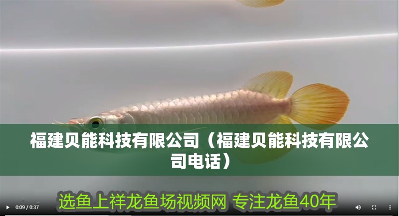 福建貝能科技有限公司（福建貝能科技有限公司電話）