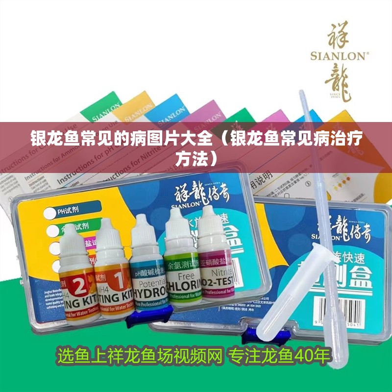 銀龍魚(yú)常見(jiàn)的病圖片大全（銀龍魚(yú)常見(jiàn)病治療方法）