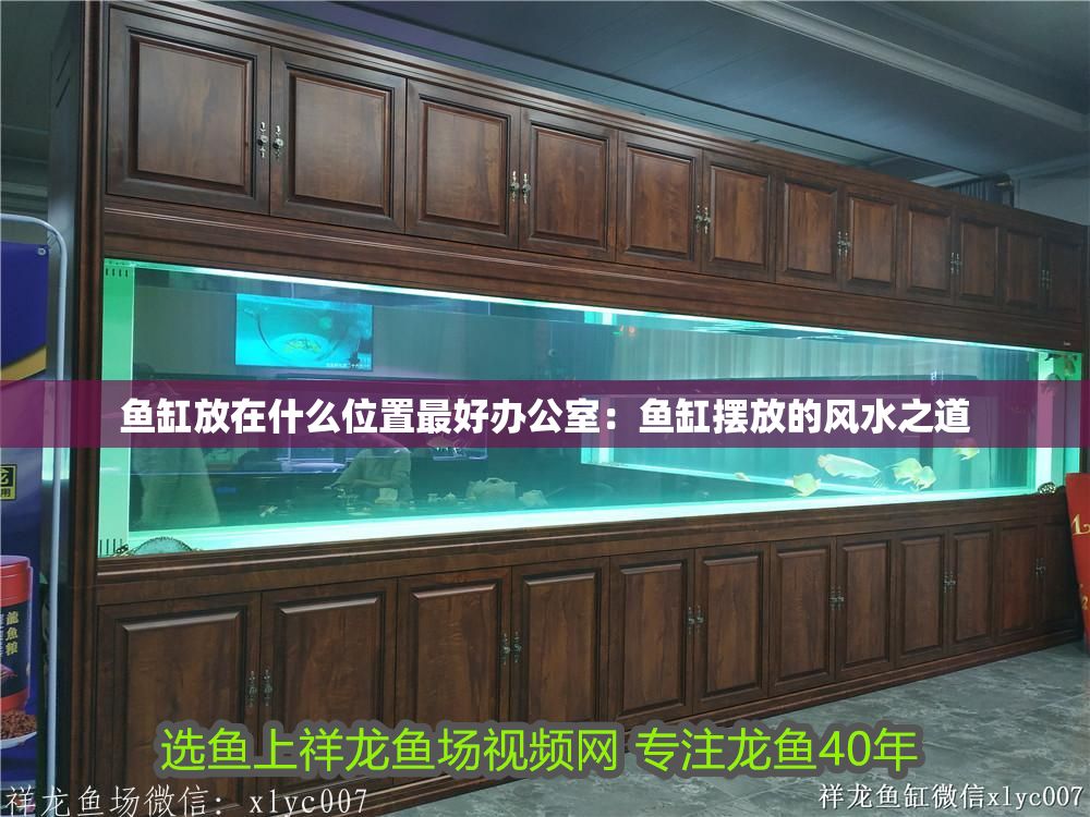 魚缸放在什么位置最好辦公室：魚缸擺放的風水之道