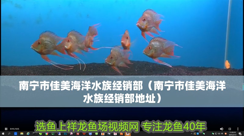 南寧市佳美海洋水族經(jīng)銷部（南寧市佳美海洋水族經(jīng)銷部地址）