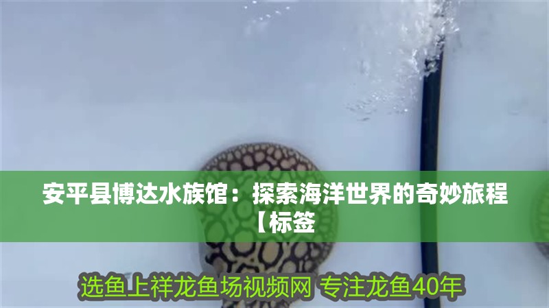 安平縣博達水族館：探索海洋世界的奇妙旅程【標簽 安平縣博達水族館：探索海洋世界的奇妙旅程【標簽 全國水族館企業(yè)名錄