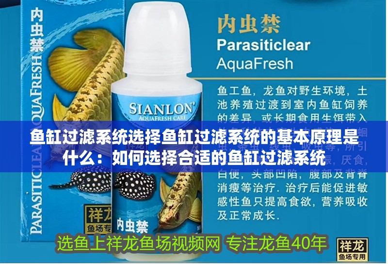 魚缸過濾系統(tǒng)選擇魚缸過濾系統(tǒng)的基本原理是什么：如何選擇合適的魚缸過濾系統(tǒng) 魚缸過濾系統(tǒng)選擇魚缸過濾系統(tǒng)的基本原理是什么：如何選擇合適的魚缸過濾系統(tǒng) 魚缸百科
