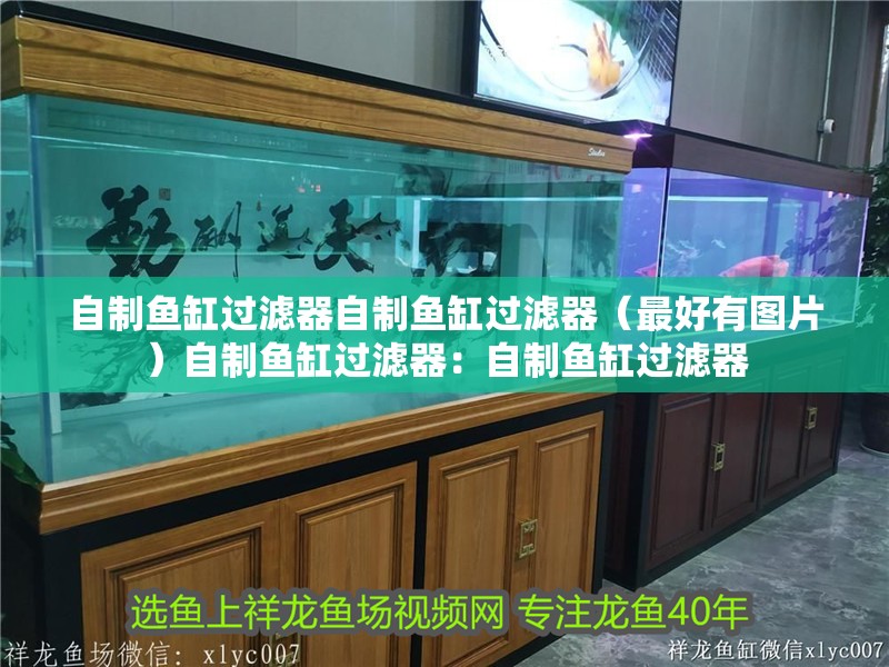 自制魚缸過濾器自制魚缸過濾器（最好有圖片）自制魚缸過濾器：自制魚缸過濾器