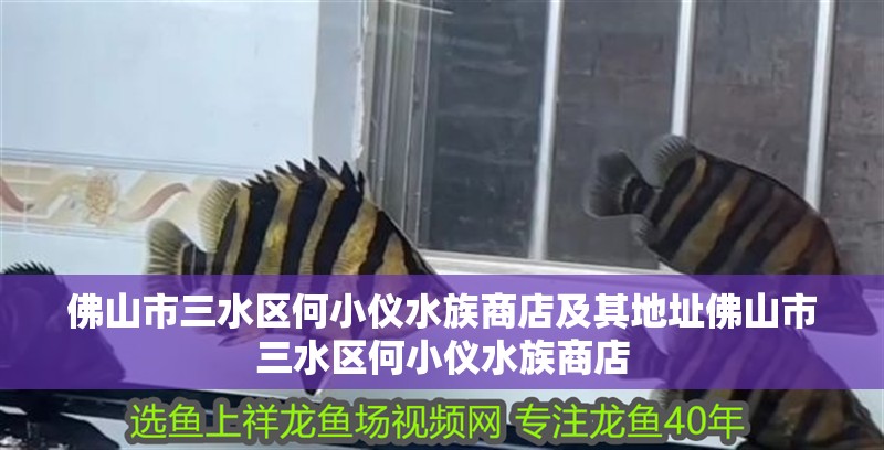 佛山市<strong><mark>三水</mark></strong>區(qū)何小儀水族商店及其地址佛山市<strong><mark>三水</mark></strong>區(qū)何小儀水族商店
