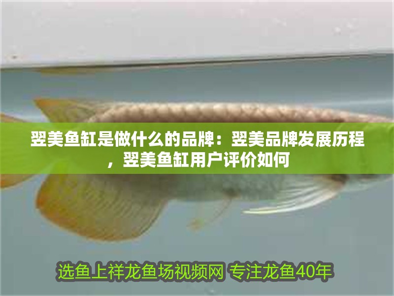 翌美魚缸是做什么的品牌：翌美品牌發展歷程，翌美魚缸用戶評價如何