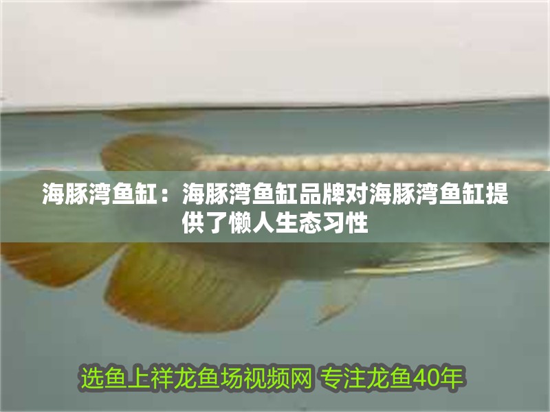 海豚灣魚缸：海豚灣魚缸品牌對海豚灣魚缸提供了懶人生態習性