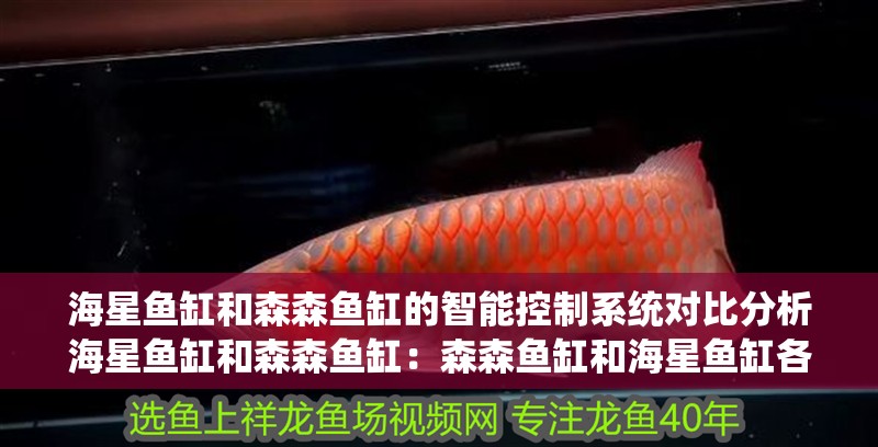 海星魚缸和森森魚缸的智能控制系統對比分析海星魚缸和森森魚缸：森森魚缸和海星魚缸各有優勢