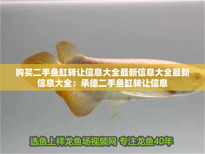 購買二手魚缸轉讓信息大全最新信息大全最新信息大全：承德二手魚缸轉讓信息 購買二手魚缸轉讓信息大全最新信息大全最新信息大全：承德二手魚缸轉讓信息 魚缸百科
