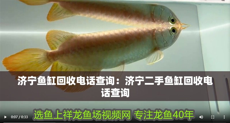 濟寧魚缸回收電話查詢：濟寧二手魚缸回收電話查詢 濟寧魚缸回收電話查詢：濟寧二手魚缸回收電話查詢 魚缸百科