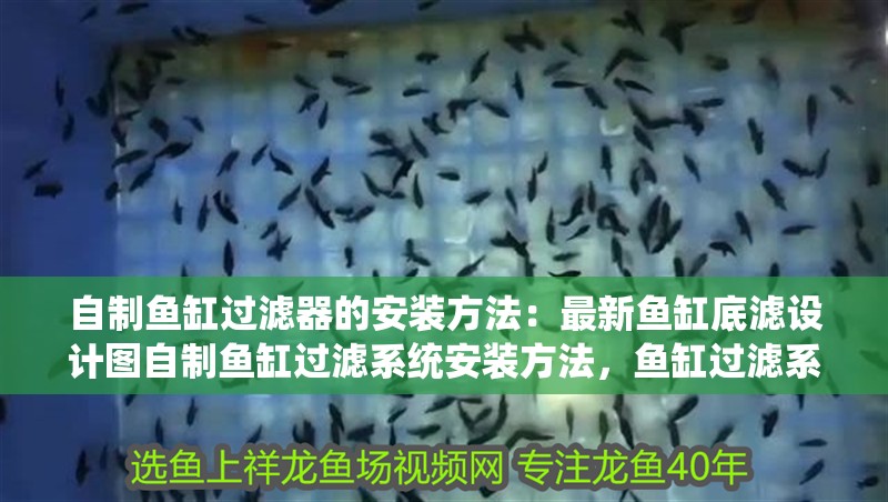 自制魚缸過濾器的安裝方法：最新魚缸底濾設計圖自制魚缸過濾系統安裝方法，魚缸過濾系統
