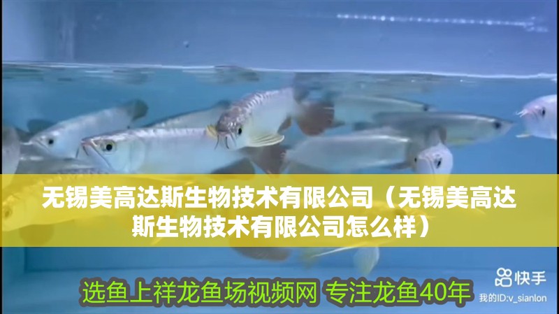 無錫美高達斯生物技術有限公司（無錫美高達斯生物技術有限公司怎么樣） 無錫美高達斯生物技術有限公司（無錫美高達斯生物技術有限公司怎么樣） 全國水族館企業名錄