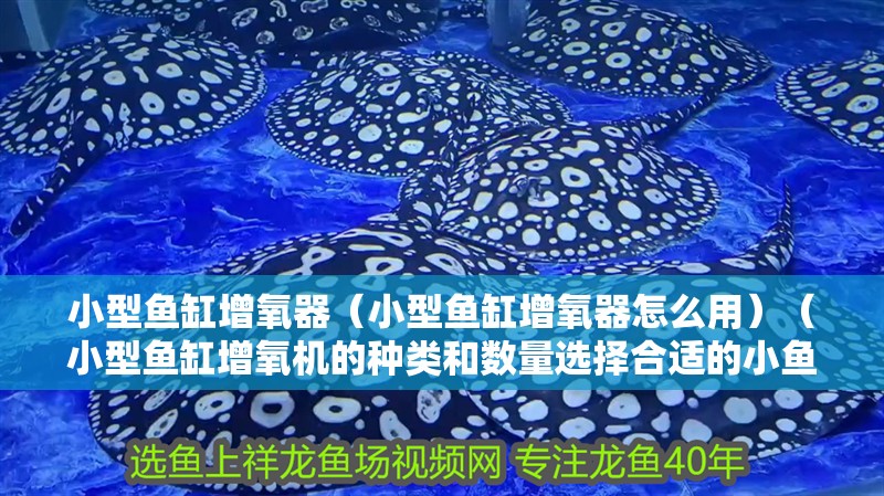 小型魚缸增氧器（小型魚缸增氧器怎么用）（小型魚缸增氧機的種類和數量選擇合適的小魚缸增氧器）