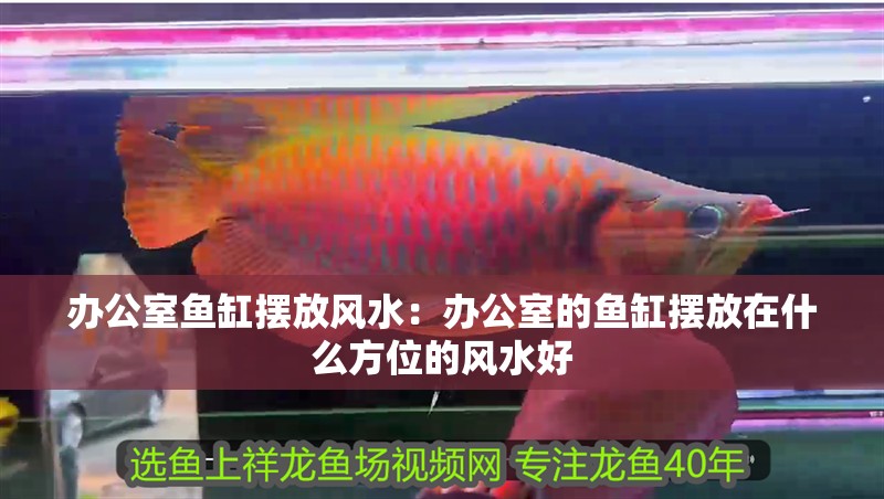辦公室魚缸擺放風水：辦公室的魚缸擺放在什么方位的風水好 辦公室魚缸擺放風水：辦公室的魚缸擺放在什么方位的風水好 魚缸百科
