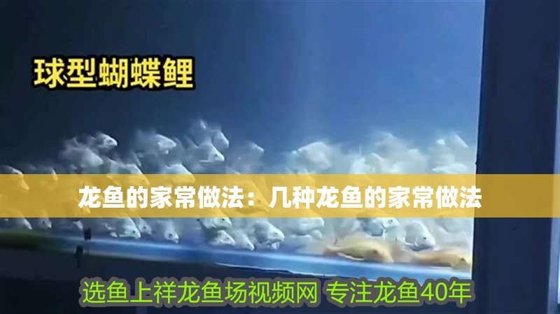 龍魚的家常做法：幾種龍魚的家常做法