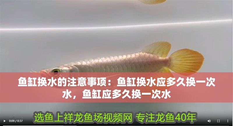 魚缸換水的注意事項：魚缸換水應多久換一次水，魚缸應多久換一次水 魚缸換水的注意事項：魚缸換水應多久換一次水，魚缸應多久換一次水 魚缸百科