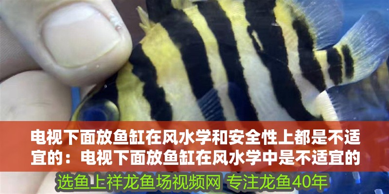 電視下面放魚缸在風水學和安全性上都是不適宜的：電視下面放魚缸在風水學中是不適宜的嗎？