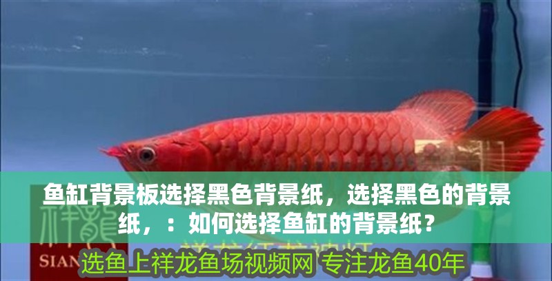 魚缸背景板選擇黑色背景紙，選擇黑色的背景紙，：如何選擇魚缸的背景紙？