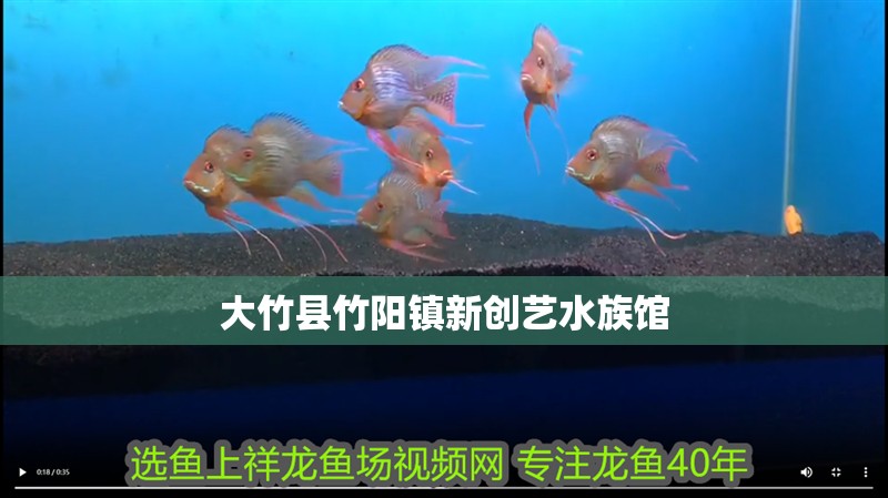 大竹縣竹陽鎮新創藝水族館 大竹縣竹陽鎮新創藝水族館 全國水族館企業名錄