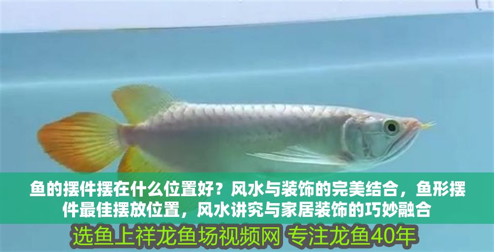 魚的擺件擺在什么位置好？風水與裝飾的完美結合，魚形擺件最佳擺放位置，風水講究與家居裝飾的巧妙融合 魚的擺件擺在什么位置好？風水與裝飾的完美結合，魚形擺件最佳擺放位置，風水講究與家居裝飾的巧妙融合 龍魚百科 第1張
