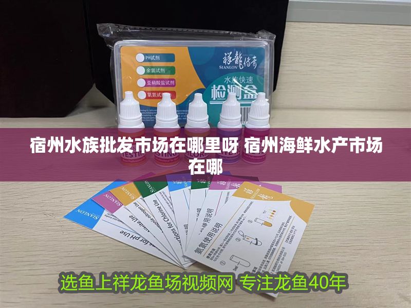 宿州水族批發市場在哪里呀 宿州海鮮水產市場在哪