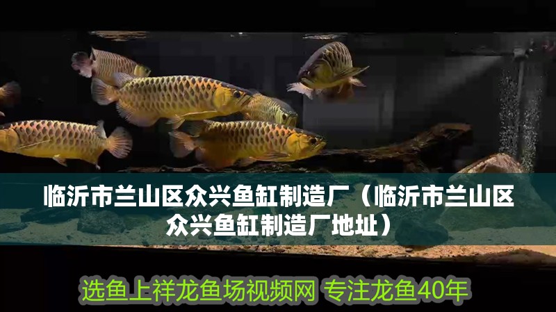 臨沂市蘭山區眾興魚缸制造廠（臨沂市蘭山區眾興魚缸制造廠地址）