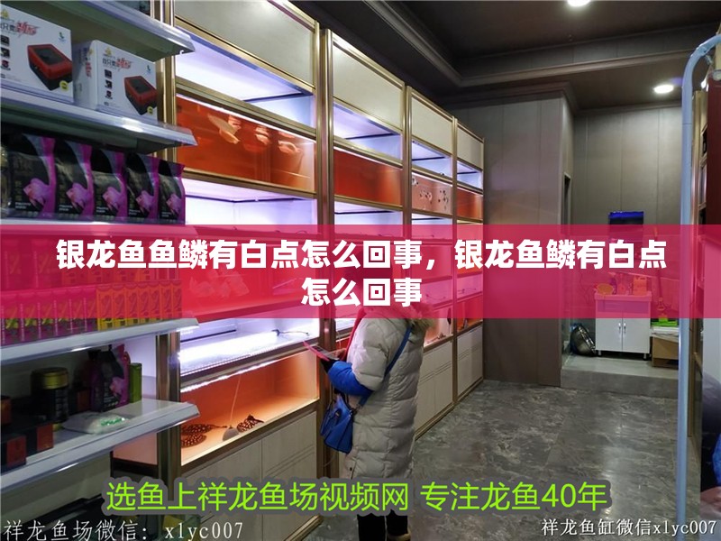 銀龍魚魚鱗有白點怎么回事，銀龍魚鱗有白點怎么回事