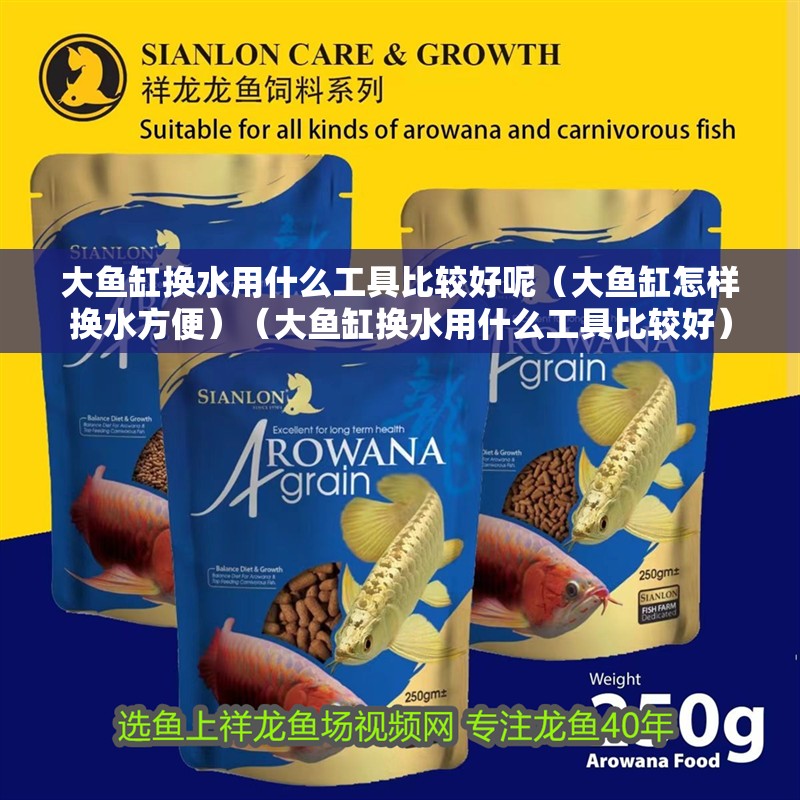 大魚缸換水用什么工具比較好呢（大魚缸怎樣換水方便）（大魚缸換水用什么工具比較好）