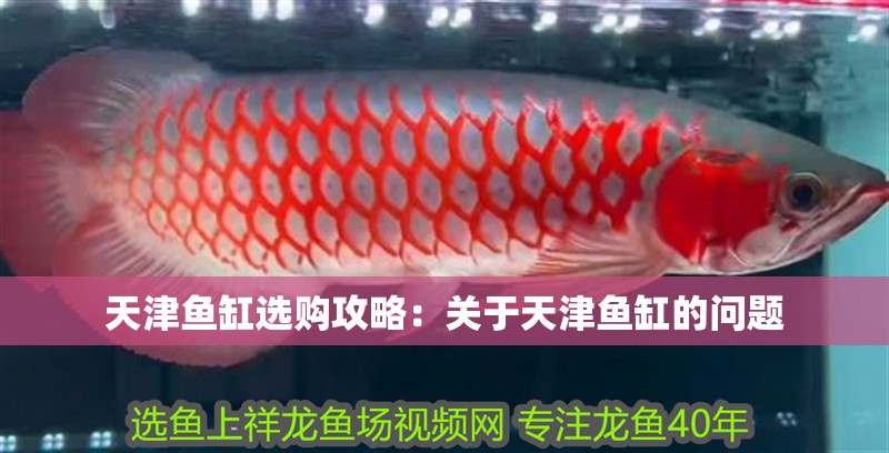 天津魚缸選購攻略：關(guān)于天津魚缸的問題