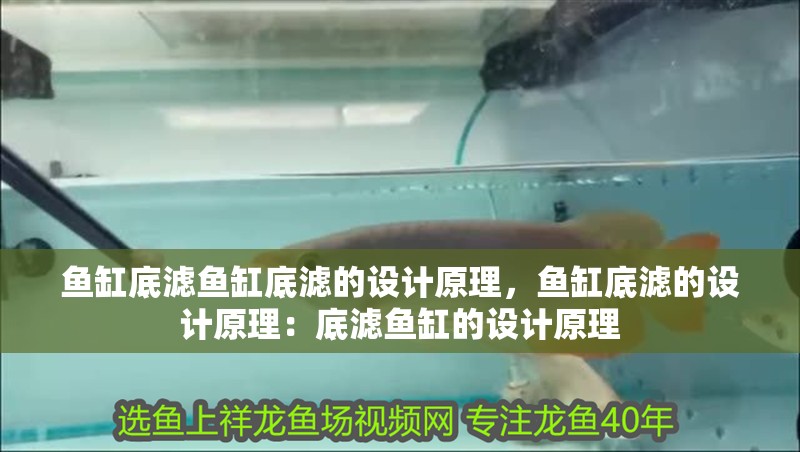 魚缸底濾魚缸底濾的設計原理，魚缸底濾的設計原理：底濾魚缸的設計原理