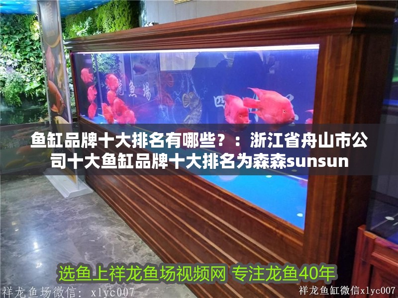 魚缸品牌十大排名有哪些？：浙江省舟山市公司十大魚缸品牌十大排名為森森sunsun 魚缸品牌十大排名有哪些？：浙江省舟山市公司十大魚缸品牌十大排名為森森sunsun 魚缸百科