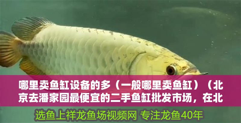 哪里賣魚缸設(shè)備的多（一般哪里賣魚缸）（北京去潘家園最便宜的二手魚缸批發(fā)市場，在北京去潘家園最便宜）