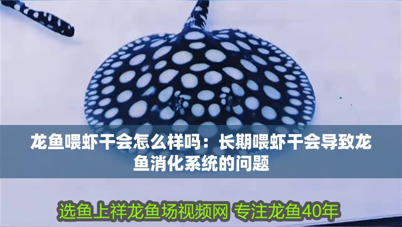 龍魚喂蝦干會怎么樣嗎：長期喂蝦干會導致龍魚消化系統的問題