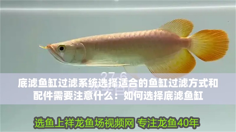 底濾魚缸過(guò)濾系統(tǒng)選擇適合的魚缸過(guò)濾方式和配件需要注意什么：如何選擇底濾魚缸