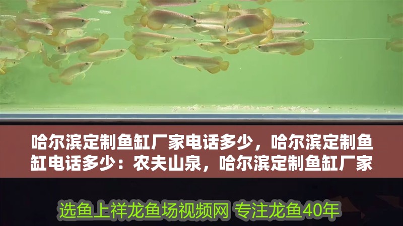 哈爾濱定制魚缸廠家電話多少，哈爾濱定制魚缸電話多少：農夫山泉，哈爾濱定制魚缸廠家電話多少 哈爾濱定制魚缸廠家電話多少，哈爾濱定制魚缸電話多少：農夫山泉，哈爾濱定制魚缸廠家電話多少 魚缸百科
