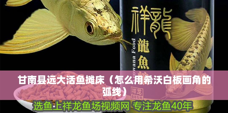 甘南縣遠大活魚攤床（怎么用希沃白板畫角的弧線）