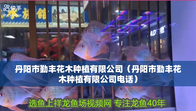 丹陽市勤豐花木種植有限公司（丹陽市勤豐花木種植有限公司電話）