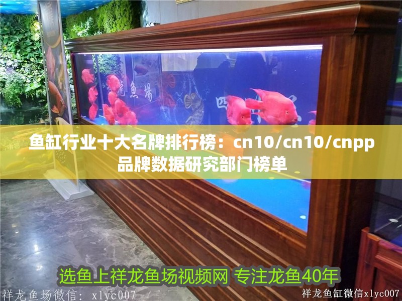 魚缸行業十大名牌排行榜：cn10/cn10/cnpp品牌數據研究部門榜單