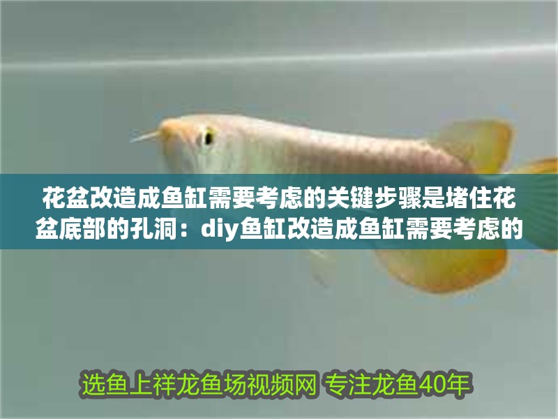 花盆改造成魚缸需要考慮的關鍵步驟是堵住花盆底部的孔洞：diy魚缸改造成魚缸需要考慮的關鍵步驟是堵住花盆底部的孔洞
