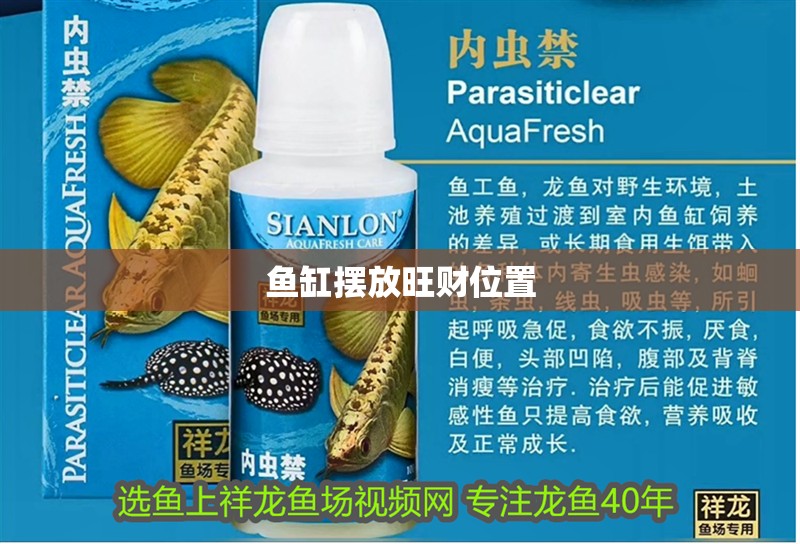 魚缸擺放旺財位置 魚缸擺放旺財位置 龍魚論壇